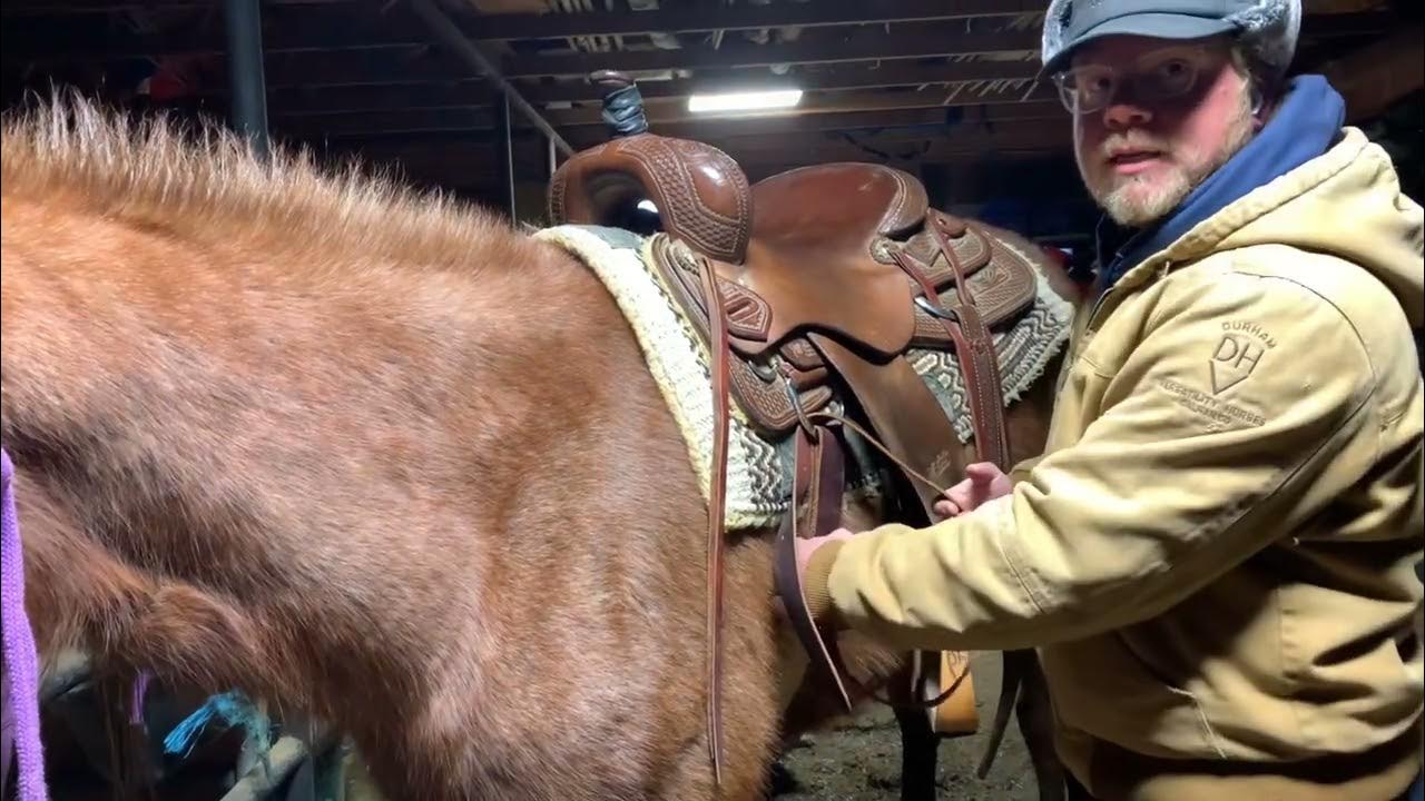 How to tie your rope halter and cinch correctly YouTube