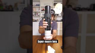 Download Lagu Insane Macro Lens #photography MP3