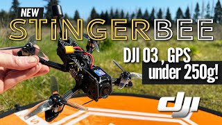 StingerBee HD 03 - Fpv Freestyle Drone with Gps under 250g!