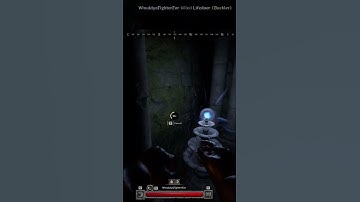 Shield Bash Buff is NUTS #darkanddarker #meme #funny #shorts #fyp #TheTruxFortuita #savage