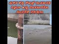కొద్దిరోజుల్లో నిండుకుండలా గా మారనున్న చిలకలూరిపేట మంచినీటి చెరువులు