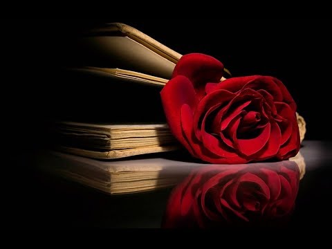 Pyar ke liye Char Pal (Lyrics) | Dil Kya Kare