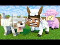 The minecraft life of Alex and Steve : Steve Goat - Minecraft animation