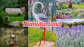 Numidia Land, Hadjout, Tipaza