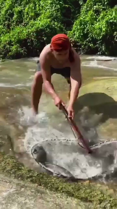 mencari ikan bayak di sungai #fypシ゚viral #video #viralvideo #mencariikan #fypyoutube