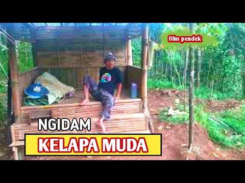 nolongin tante yang terjatuh ~ film pendek