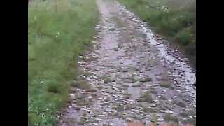 jizz da pit slash snakepit \u0026 bicycle race queen