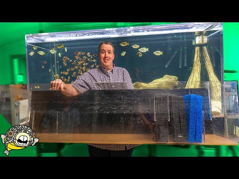 Video: Filter Sa Ilalim Ng Aquarium: Mga Kalamangan At Kahinaan