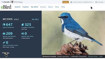 Explore My eBird and Profiles - eBird Essentials