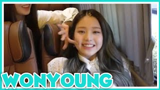 IZONE Wonyoung Cute and Funny Moments | Part 1 | Yeeena