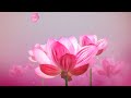 Футаж ЦВЕТОЧНЫЙ -3 Floral Footage-3