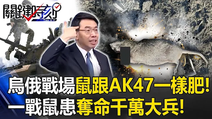 乌俄战场惊见鼠患“老鼠跟AK47一样肥”爬腿抢食！如一战壕沟鼠疫“人间炼狱”夺命千万大兵！【关键时刻】 - 天天要闻