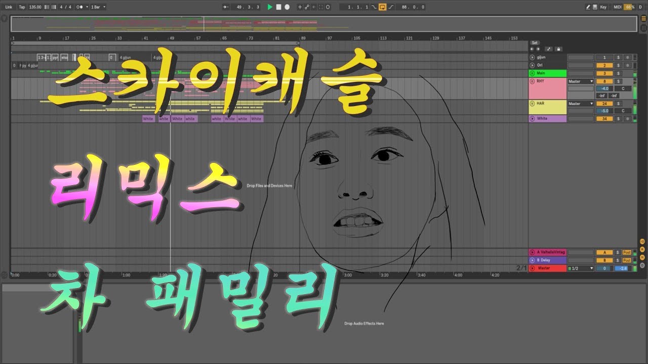 [비빔노래] 스카이캐슬 리믹스 '차 패밀리'