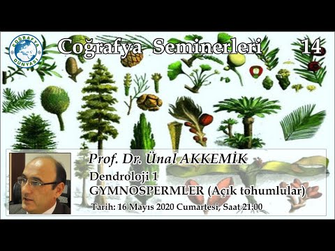 14- Dendroloji 1- GYMNOSPERMLER (Açık tohumlular) (Ünal Akkemik)