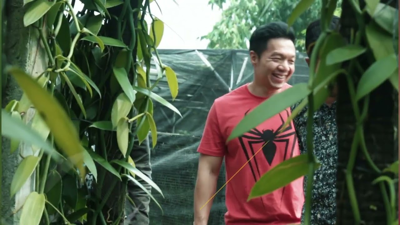 INSPIRASI KEBUN VANILI MODERN SEMI GREENHOUSE SEMARANG