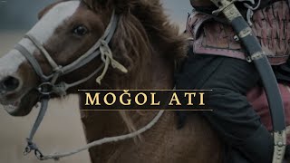 53. Aoe 4 Moğol İmp. Şok Ve Dehşet