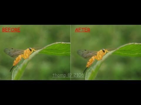 Tutorial Picsay Pro | How to BLUR ( Background ) with Picsay Pro For Android Tutorial Picsay Pro | How to BLUR ( Background ) with Picsay Pro For Android