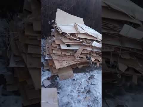 Сколько можно заработать на картоне? Сбор картона