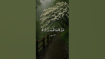 سورة الزمر - #ماهر_المعيقلي #قرآن #quran