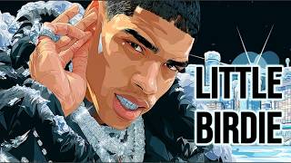 Little Birdie | Drake | EXPLAINED | ICEMAN