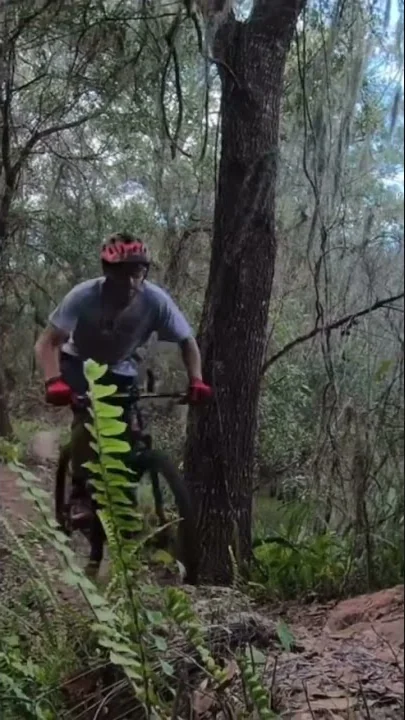 Flowy singletrack at Balm Boyette! #flowtrail #mou...