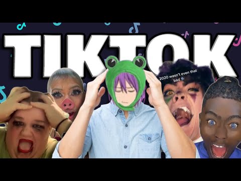 The Irreversible Damage Of TikTok 