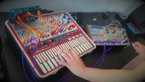 Buchla Music Easel vs. 208c Command