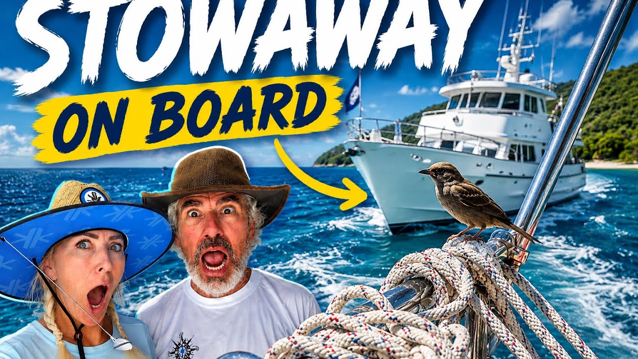OUR FIRST 1,000 MILE PASSAGE, KILLER WHALES AND A STOWAWAY #atlanticcrossing #luxuryyachtlife