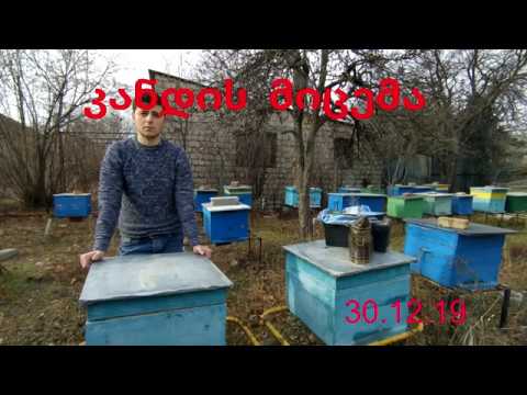 კანდის მიცემა