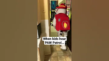 When Kids Hear PAW Patrol Shorts Pawpatrol Kids 
