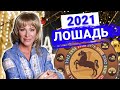 Астрологический прогноз на 2021 год Металлического Быка | Лошадь – избранница удачи Нового Года