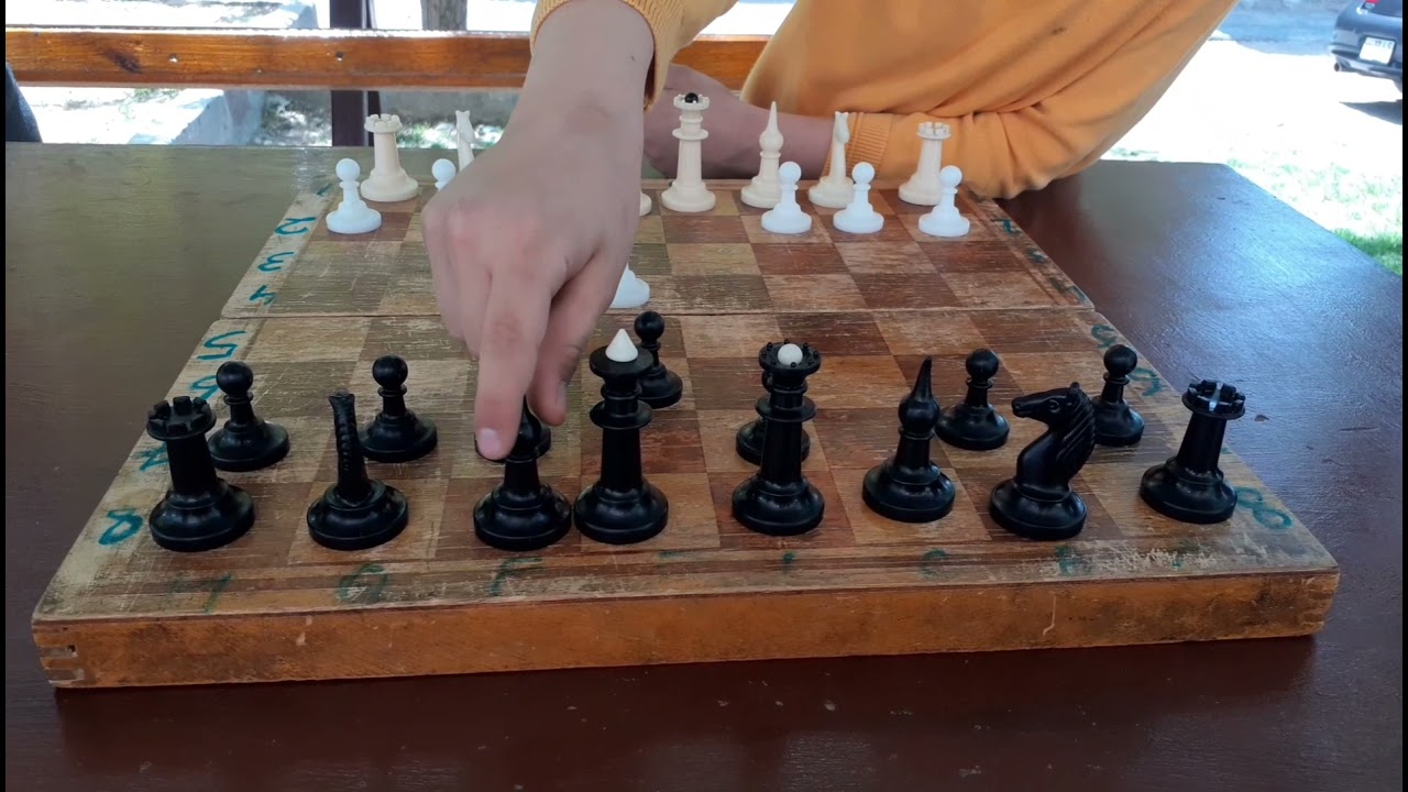 Shaxmati tsuxaki hakaxax.😘 - YouTube