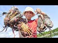 It's amazing to find a huge mud crab washed up in the river at low tide