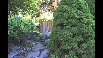 First Time-Lapse w/ DSLR Slider