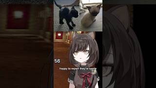 Grimmi’s cats are SWOLE #grimmivt #vtuber #vtuberclips #cat