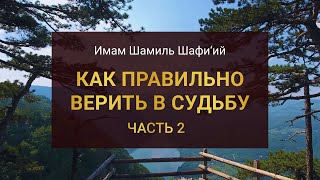 КАК ПРАВИЛЬНО ВЕРИТЬ В СУДЬБУ (ЧАСТЬ 2) | Имам Шамиль Шафи&#39;ий