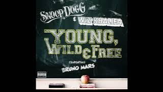 Snoop Dogg & Wiz Khalifa - Young, Wild and Free ft. Bruno Mars (Instrumental)