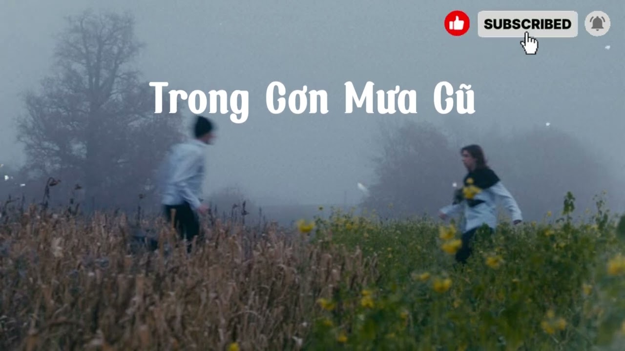 TRONG CƠN MƯA CŨ | #TCMC _ #ntmusic
