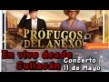 Alfredito Olivas y Julion Alvarez-en vivo desde Culiacán (2024)