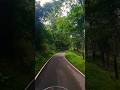 Evergreen forest #travel #scenicview #nature #hillstation #kanniyakumari