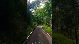 Evergreen forest #travel #scenicview #nature #hillstation #kanniyakumari