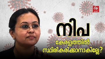 നിപ സ്ഥിരീകരിക്കാൻ പൂനെ ഫലം ലഭിക്കണം എന്തുകൊണ്ട് ?  വീണ ജോര്‍ജ് പറയുന്നു | Veena George Nipah Test