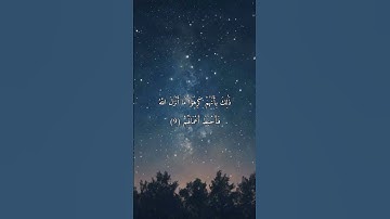 سورة محمد من الآية (7) إلى الآية (11)