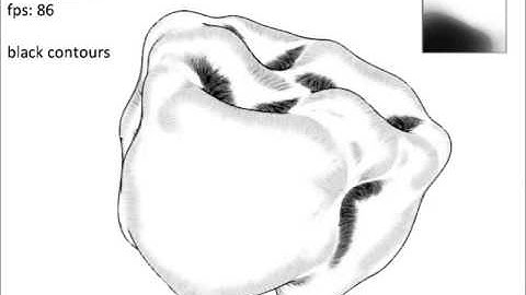 Line Integral Convolution for Real-Time Illustration of Molecular Surface Shape and Salient Regions