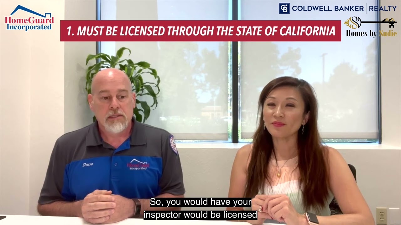 What is a Termite Inspection?