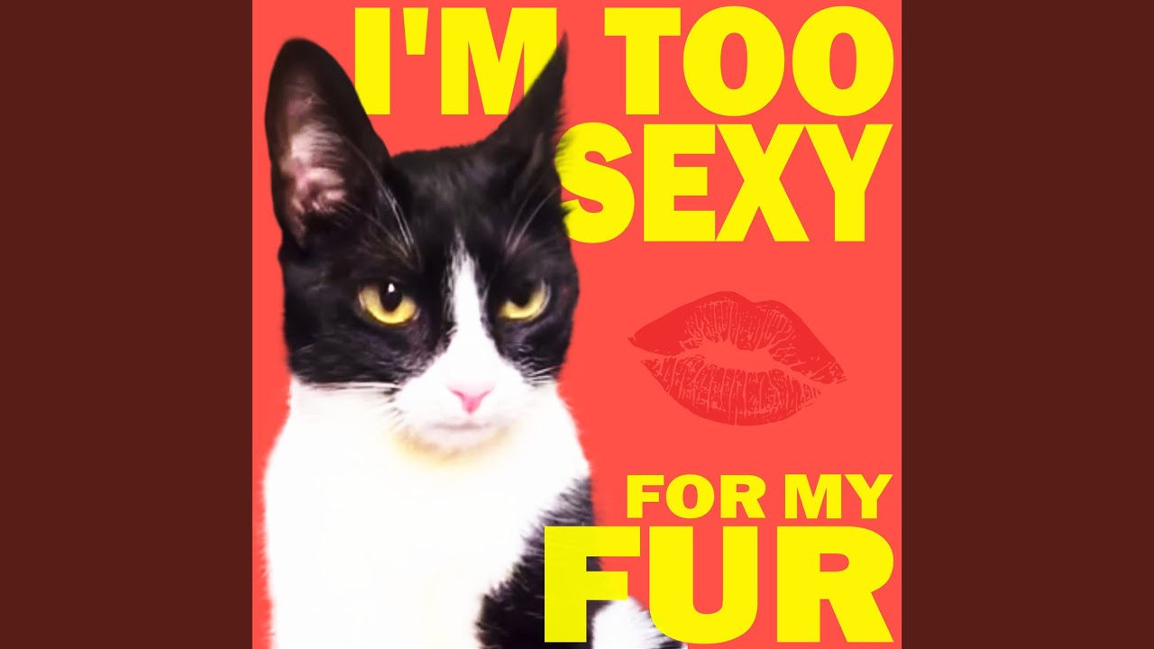 I'm Too Sexy for My Fur