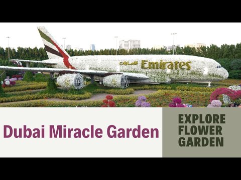 The world's largest natural flower garden🌸💐 దుబాయ్ మిరకిల్ గార్దెన్ #miraclegardendubai #dubai