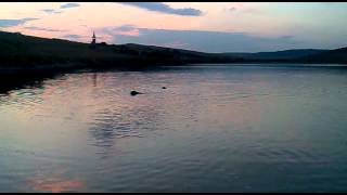 Jagdterrier Si Brac La Apa