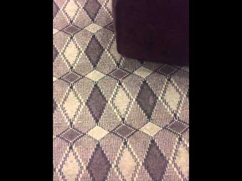 اهداء بدر العازمي للملا