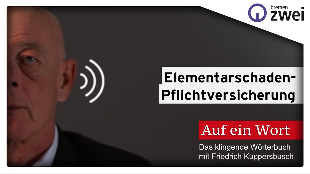 Elementarschden Was Ist Das